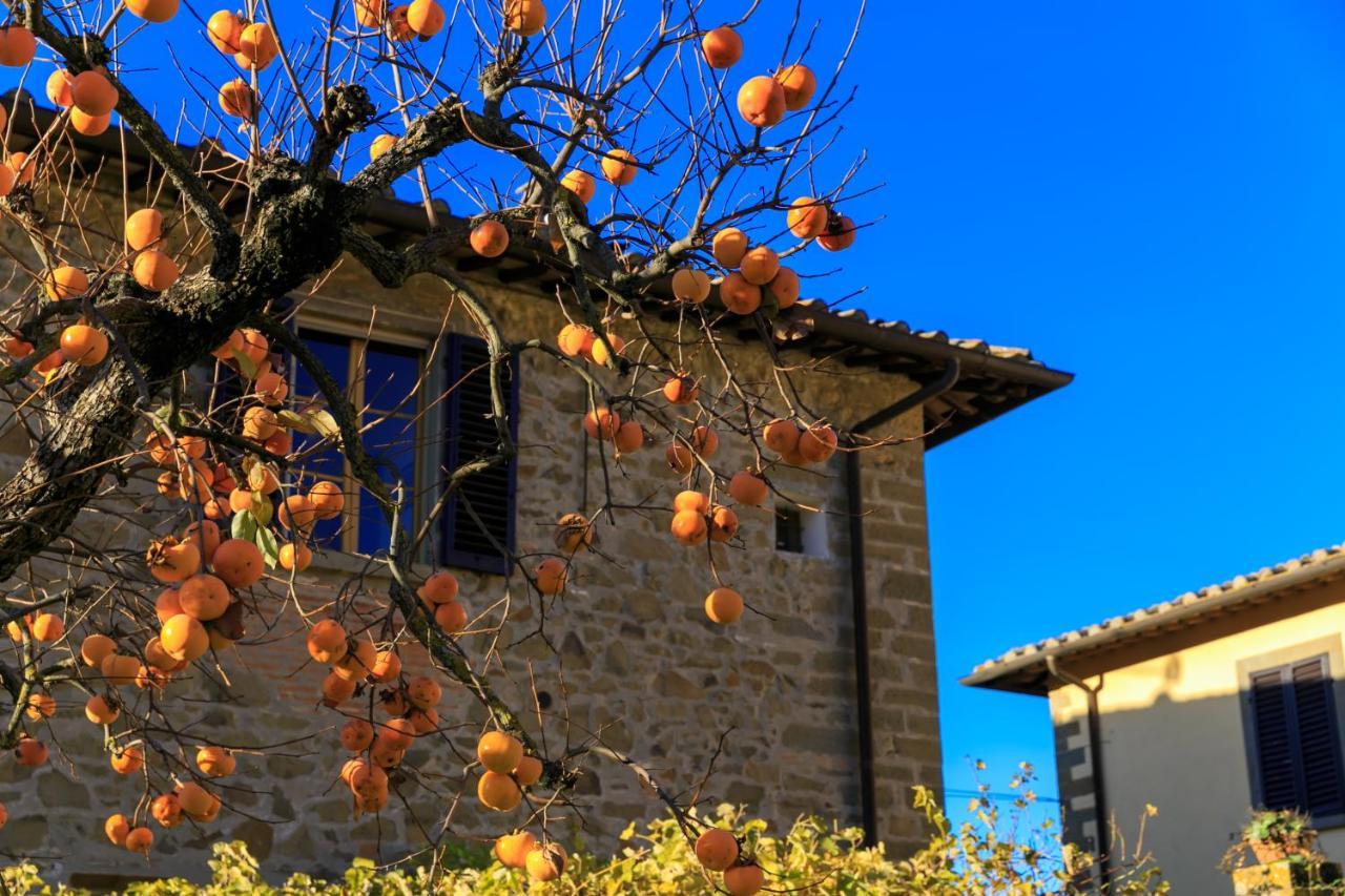 Agriturismo Fattoria Santo Stefano Greve in Chianti Eksteriør bilde