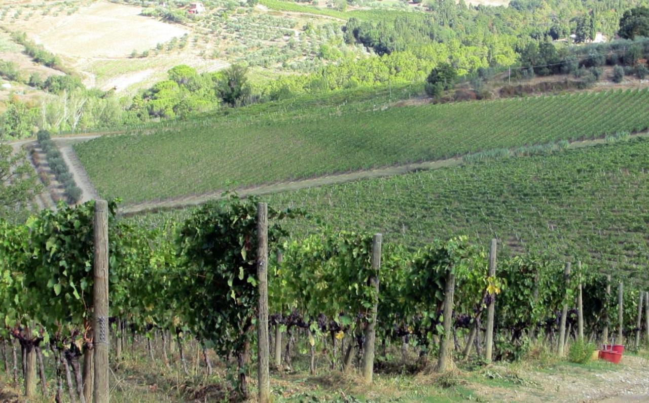 Agriturismo Fattoria Santo Stefano Greve in Chianti Eksteriør bilde